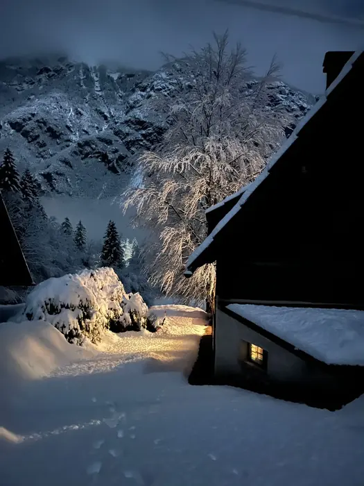 Bohinjsko jezero in gore Triglavskega narodnega parka blizu Koče pri Rdeči Bukvi (fotografija 42)