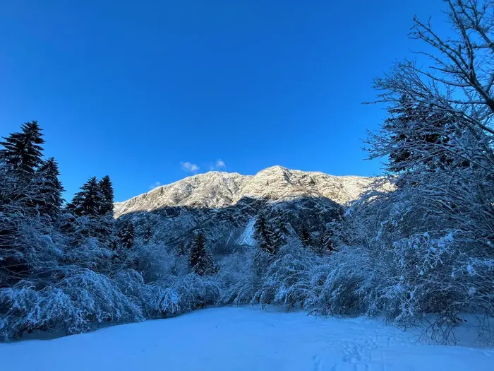Bohinjsko jezero in gore Triglavskega narodnega parka blizu Koče pri Rdeči Bukvi (fotografija 43)