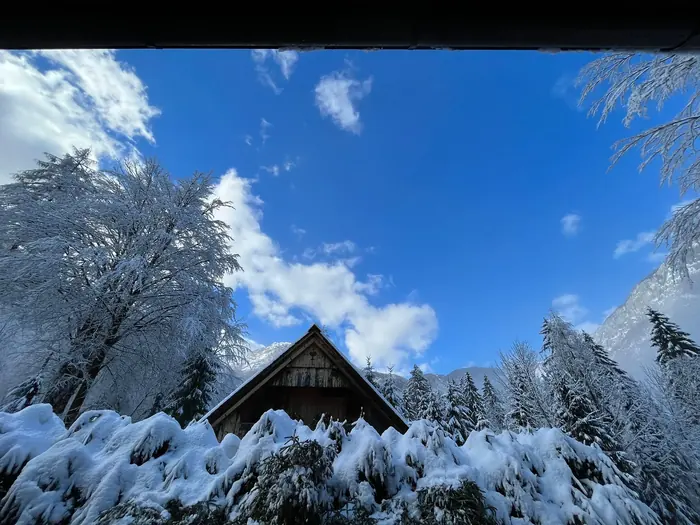 Bohinjsko jezero in gore Triglavskega narodnega parka blizu Koče pri Rdeči Bukvi (fotografija 44)