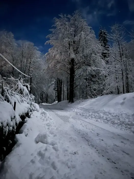 Bohinjsko jezero in gore Triglavskega narodnega parka blizu Koče pri Rdeči Bukvi (fotografija 47)
